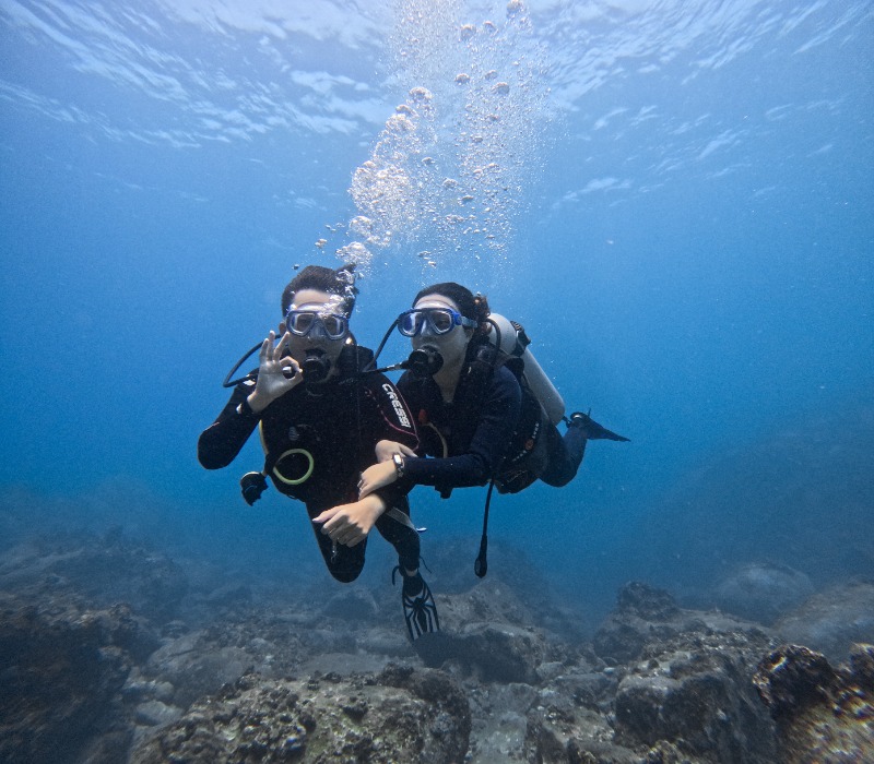 Try Scuba (for non-certified diver)